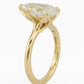 minhè ring 1984-1