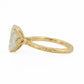 minhè ring 1682-1