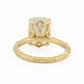 minhè ring 1682-1