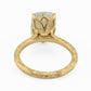 minhè ring 1682-1