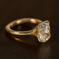 minhè ring 1825-1