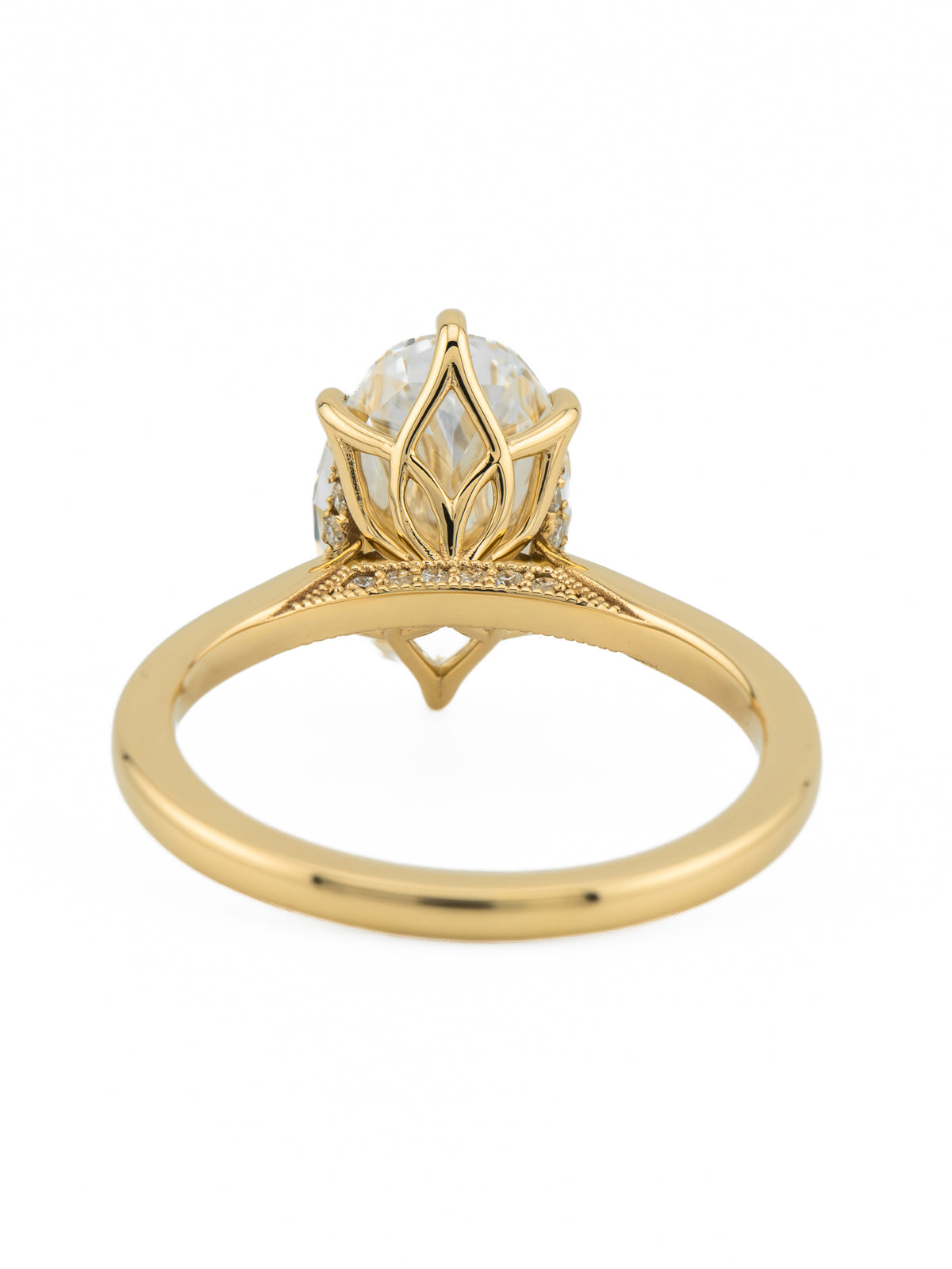 minhè ring 1667-1