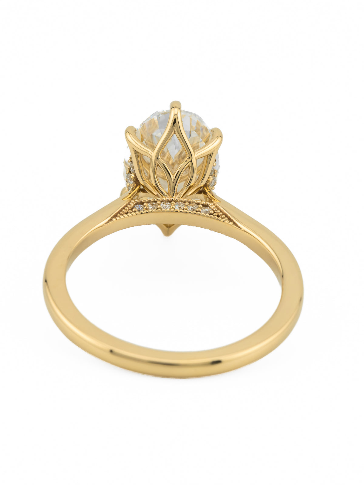 minhè ring 1667-1