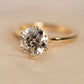 Pre Order - Blossom Cut Diamond