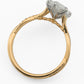 minhè ring 1950-1