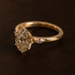 minhè ring 1956-1