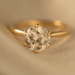 minhè ring 1600-1