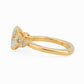 minhè ring 1684-1