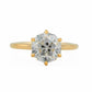 minhè ring 1741-1