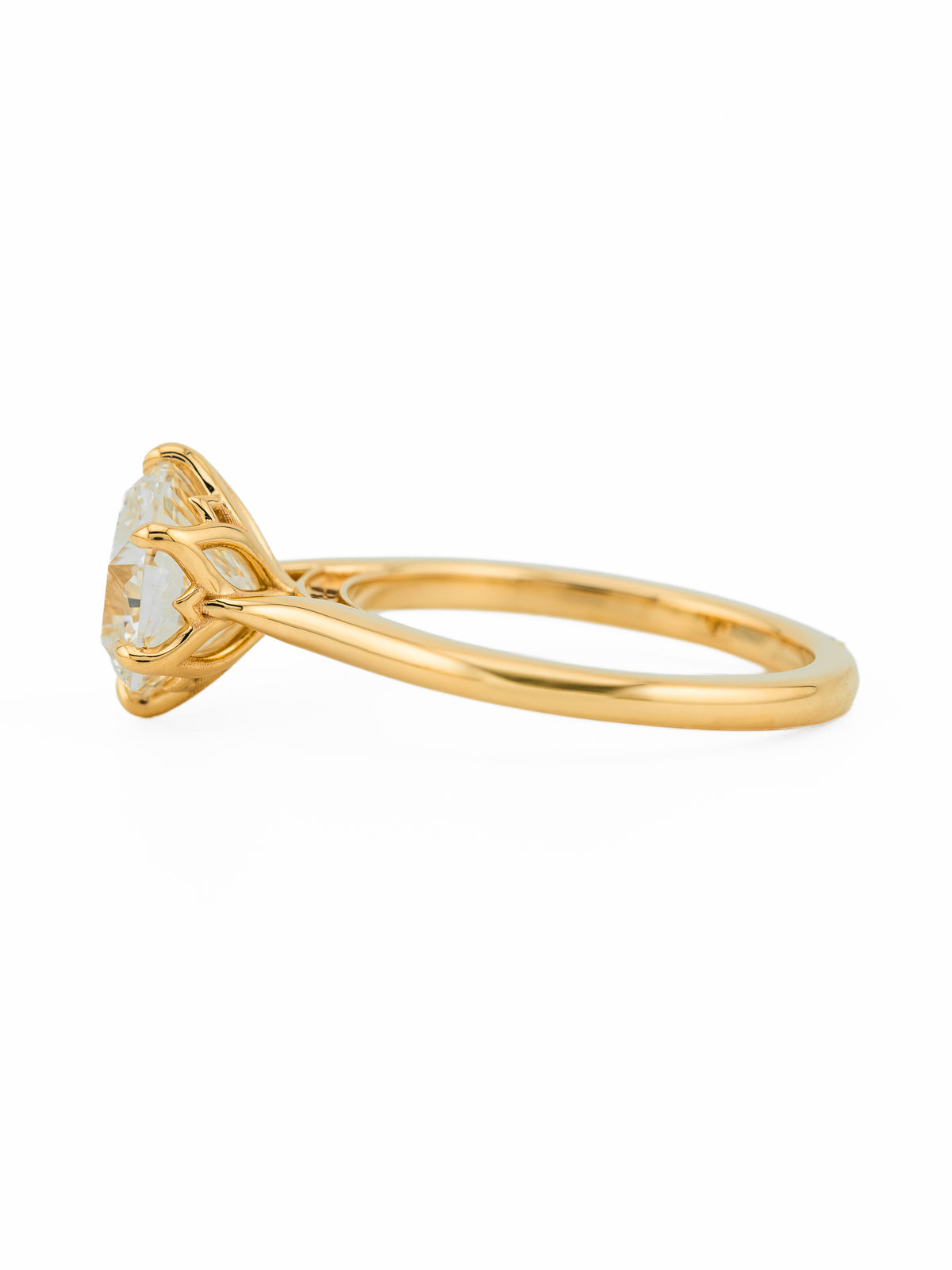 minhè ring 1741-1