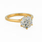minhè ring 1741-1