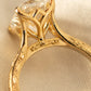 minhè ring 1748-1 · Bridge Mural · CAD Engraving · Hand Engraving