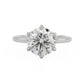 minhè ring 1862-1