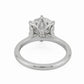 minhè ring 1862-1