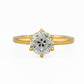 minhè ring 1871-1