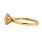 minhè ring 1871-1