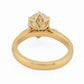 minhè ring 2026-1