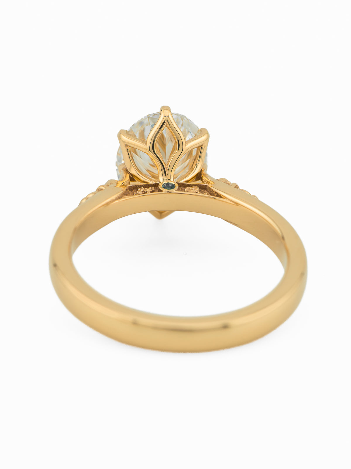 minhè ring 2026-1