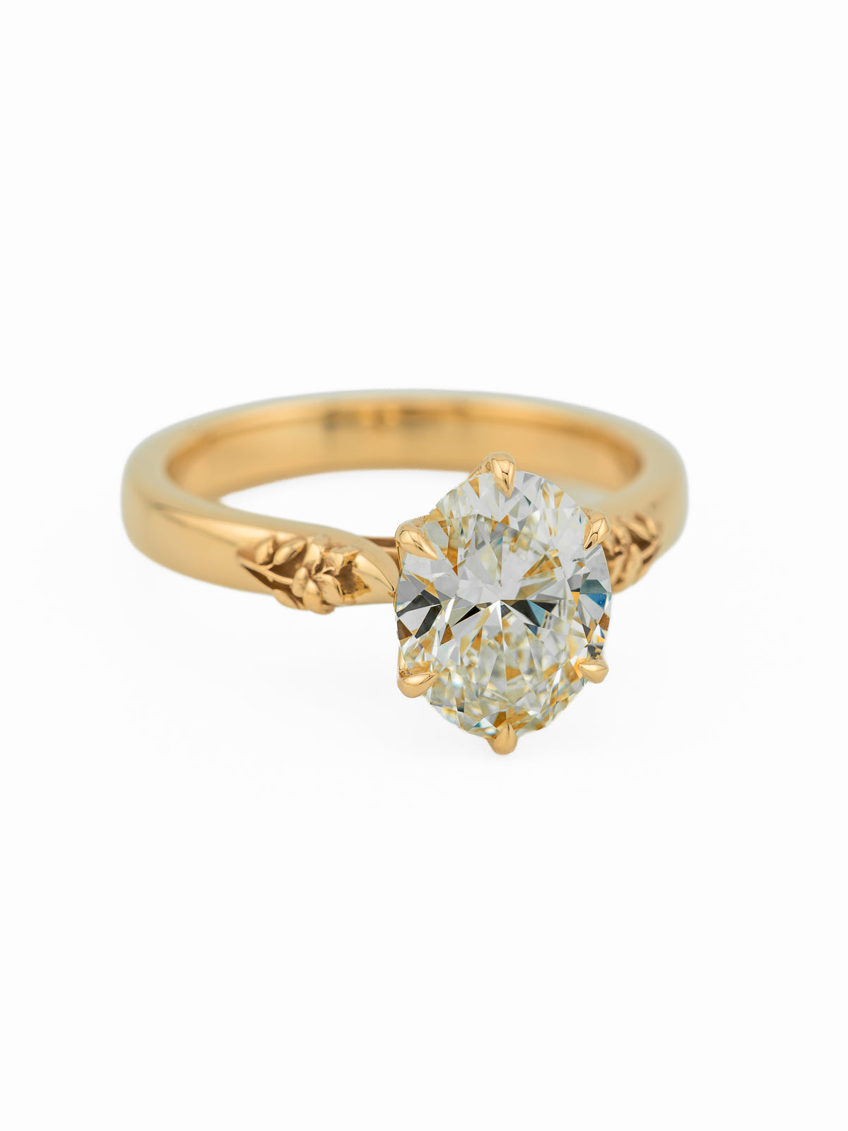minhè ring 2026-1