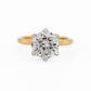 minhè ring 1859-1