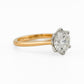 minhè ring 1859-1