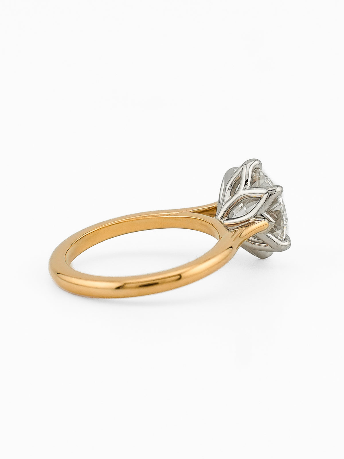 minhè ring 1859-1