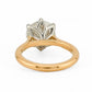 minhè ring 1859-1