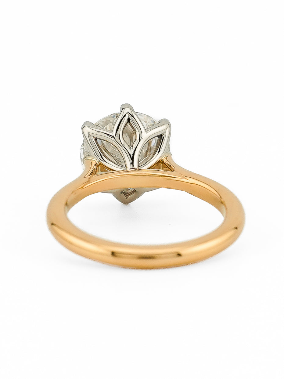 minhè ring 1859-1