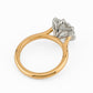 minhè ring 1859-1