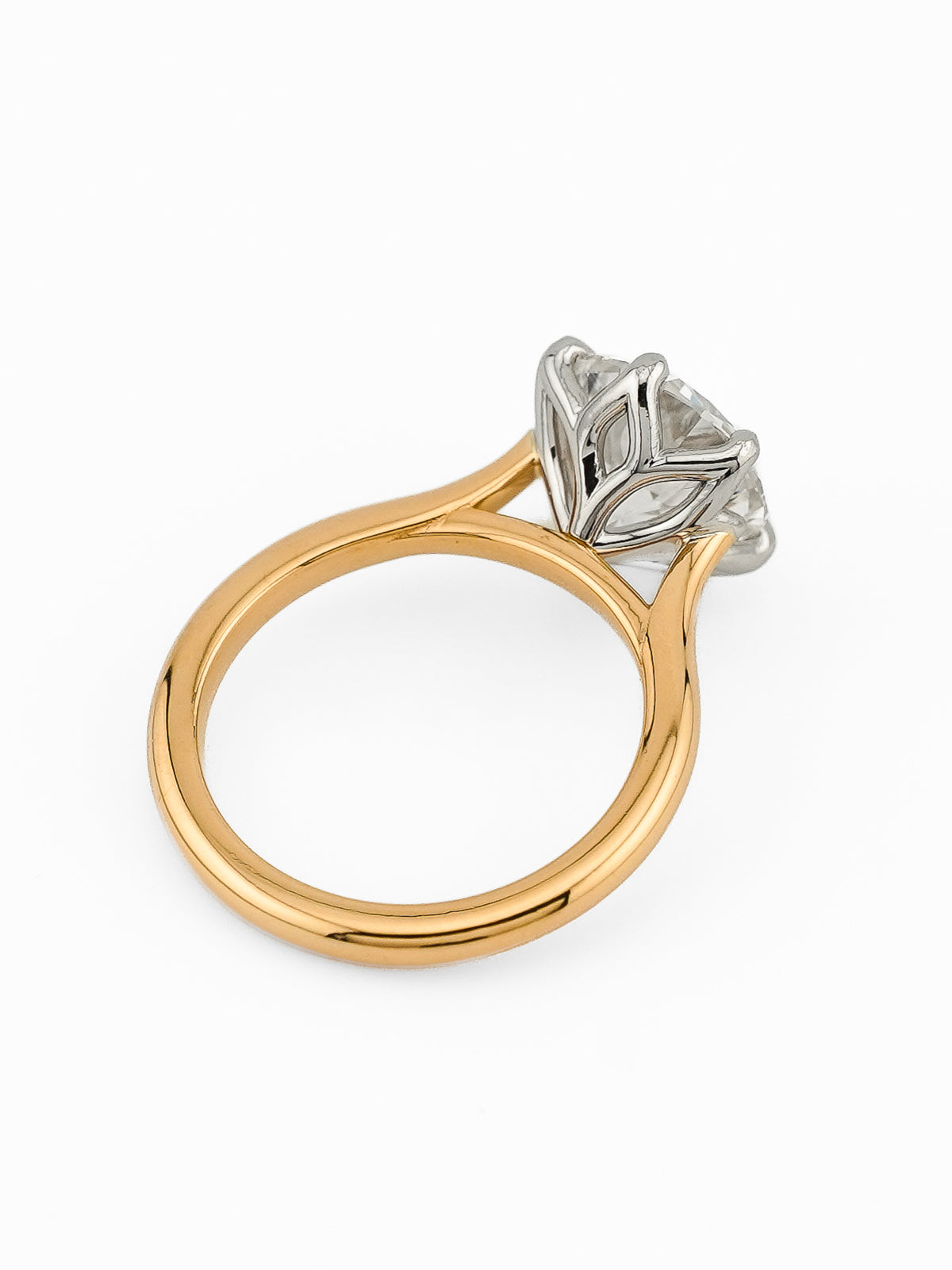 minhè ring 1859-1