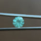 Sakura Sapphire - Cyan